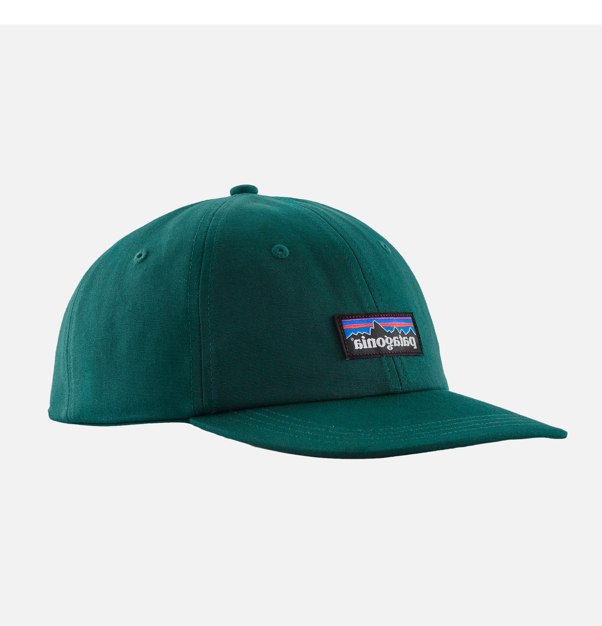 Patagonia P-6 Label Trad Cascade Green Cap