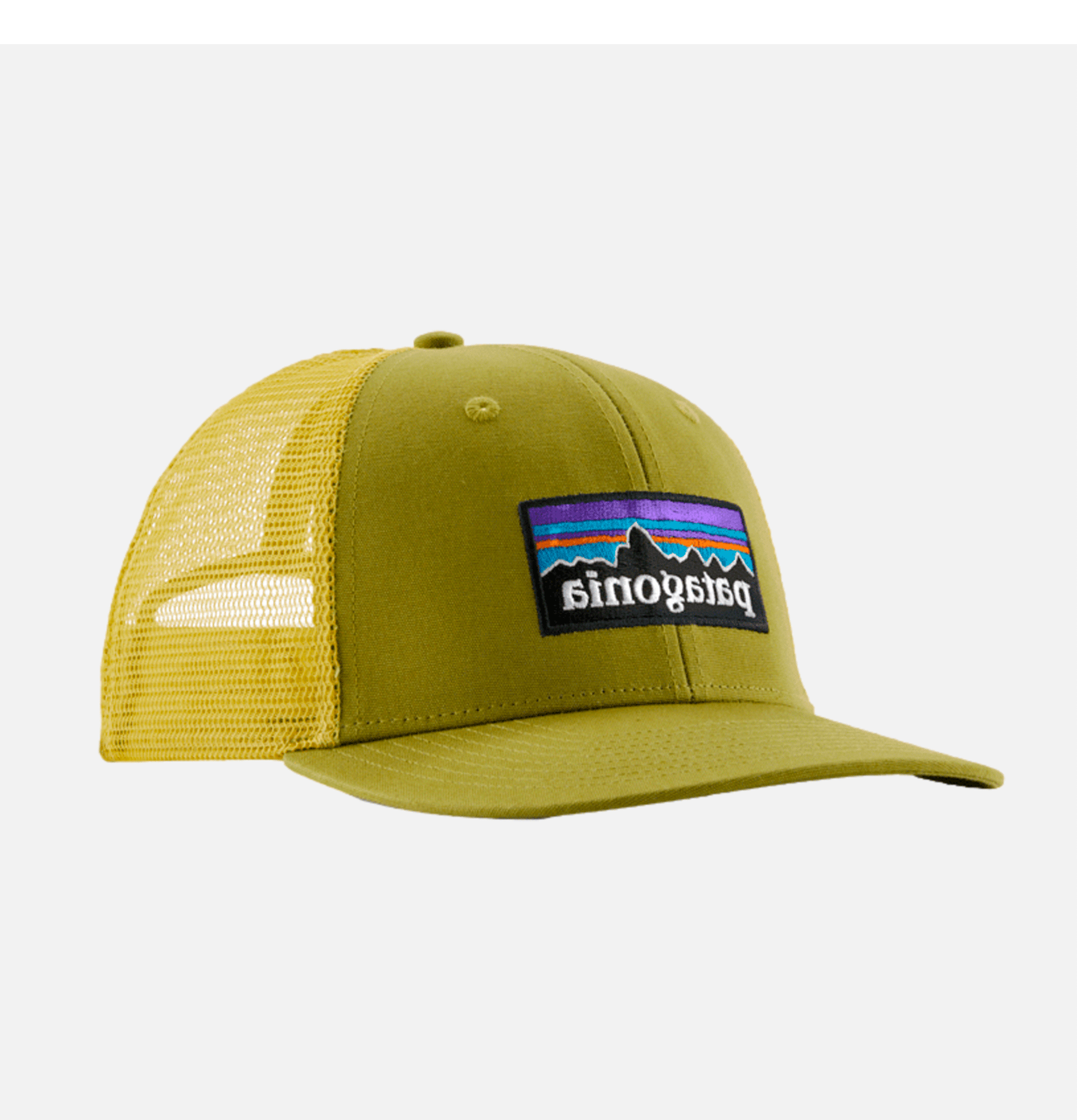 Casquette Patagonia P6 Logo Trucker Graze Green