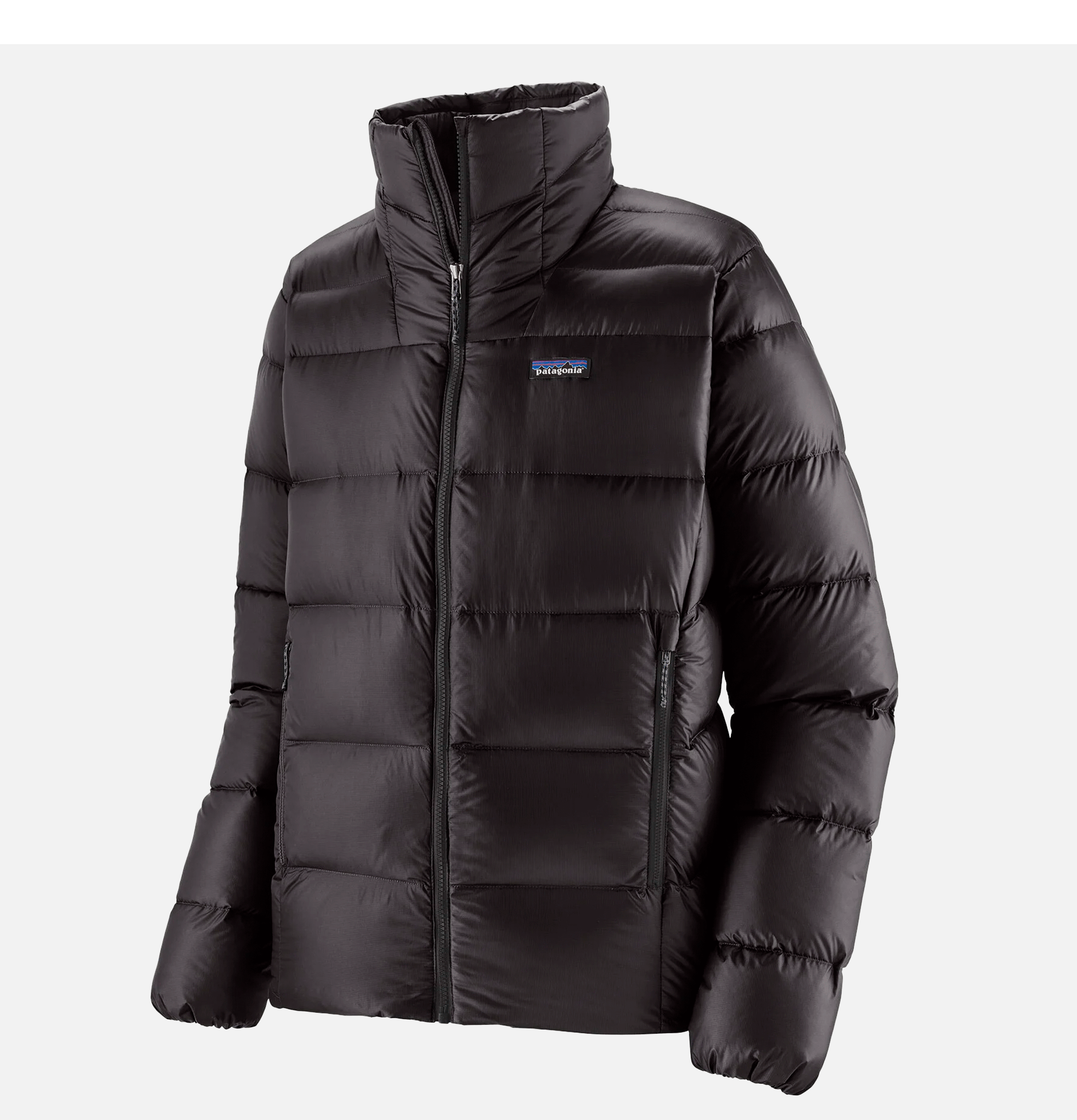 Patagonia Manteau Fitzroy Noir