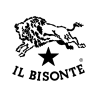 IL BISONTE